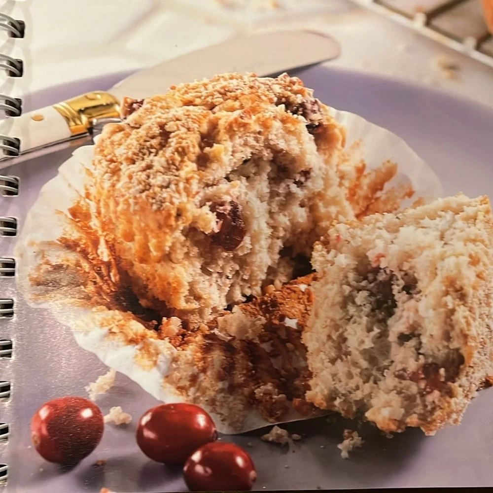 Betty Crocker Bisquick cookbook NWT